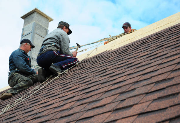 Best Shingle Roofing Installation  in Home, WA
